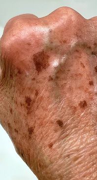 Woman with natural facial features and light makeup.